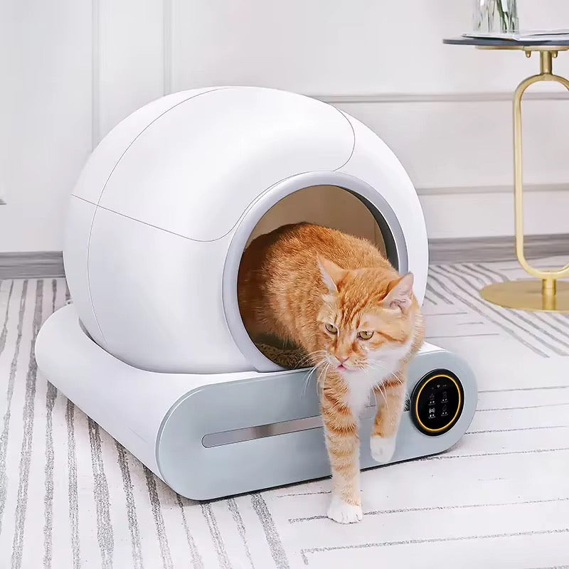 Litière automatique pour chat – Litière autonettoyante, bac intelligent, anti-odeurs | NexoCat