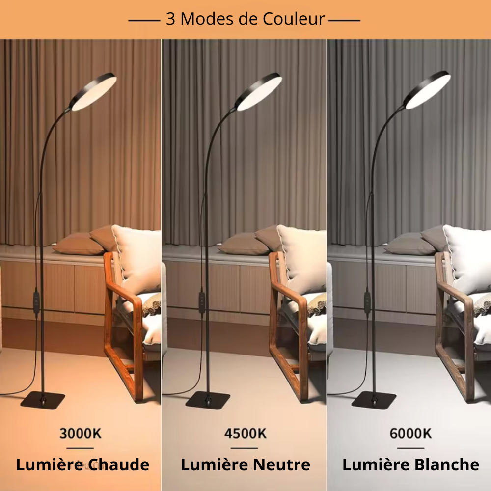 Lampadaire flexible Art Déco Oris