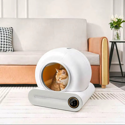 Litière automatique pour chat – Litière autonettoyante, bac intelligent, anti-odeurs | NexoCat
