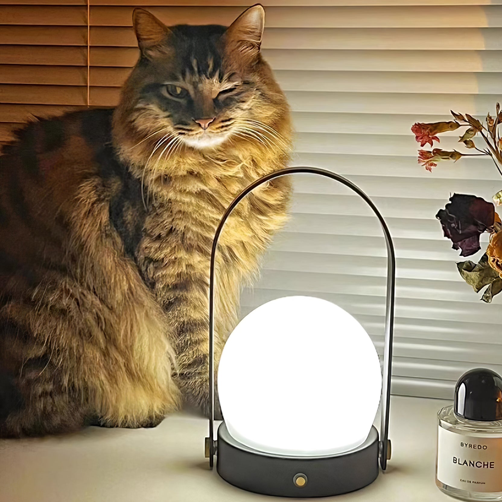 Lampe de table rechargeable sans fil Carrie – lumière chaude, nomade